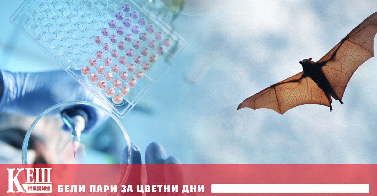 Нови експерти тръгват отново по следите на Covid-19