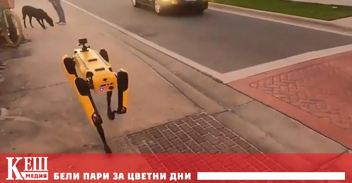 Кучетата на Boston Dynamics излязоха на разходка