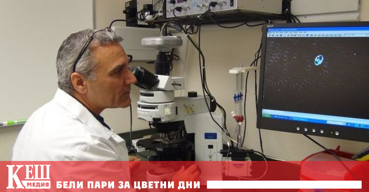 Стволовите клетки – път към здрав живот до 100 години