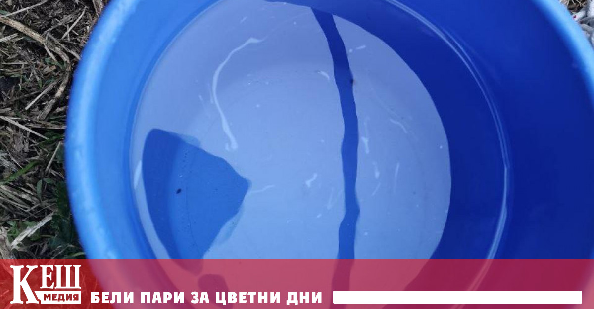 Установена е опалесценция и миризма на нефтопродукти в района на кораба “Vera SU”