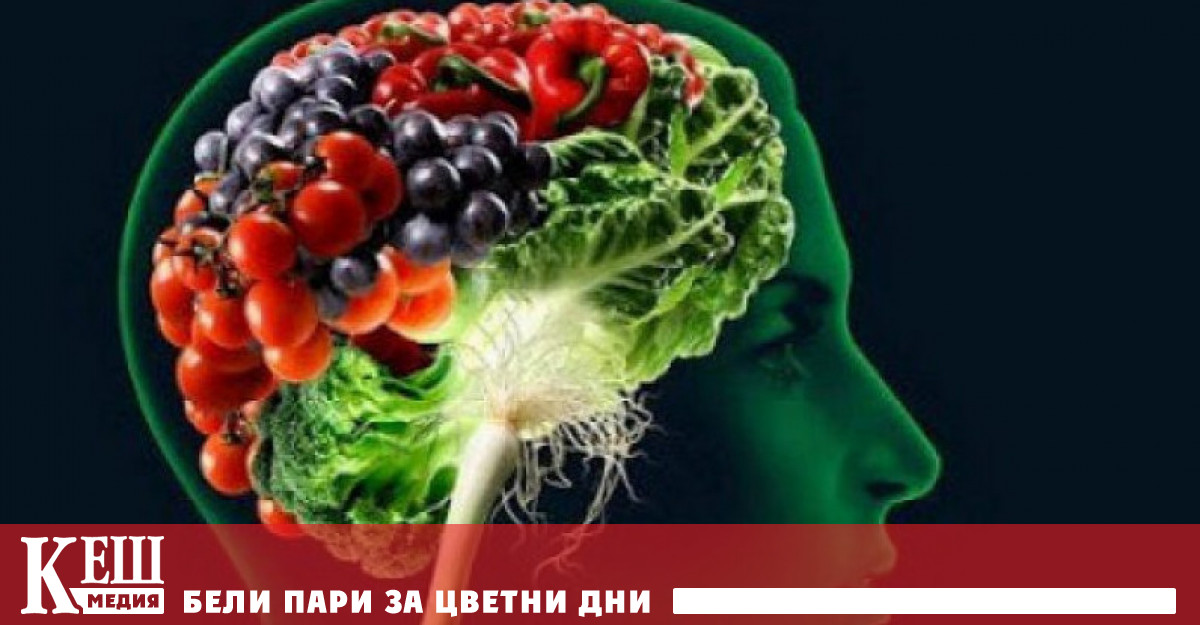 Човешкият мозък не се нуждае от инструкции