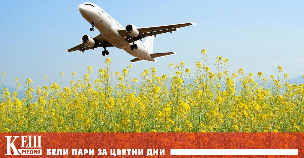 Създадено е   обещаващо авиационно гориво от синап