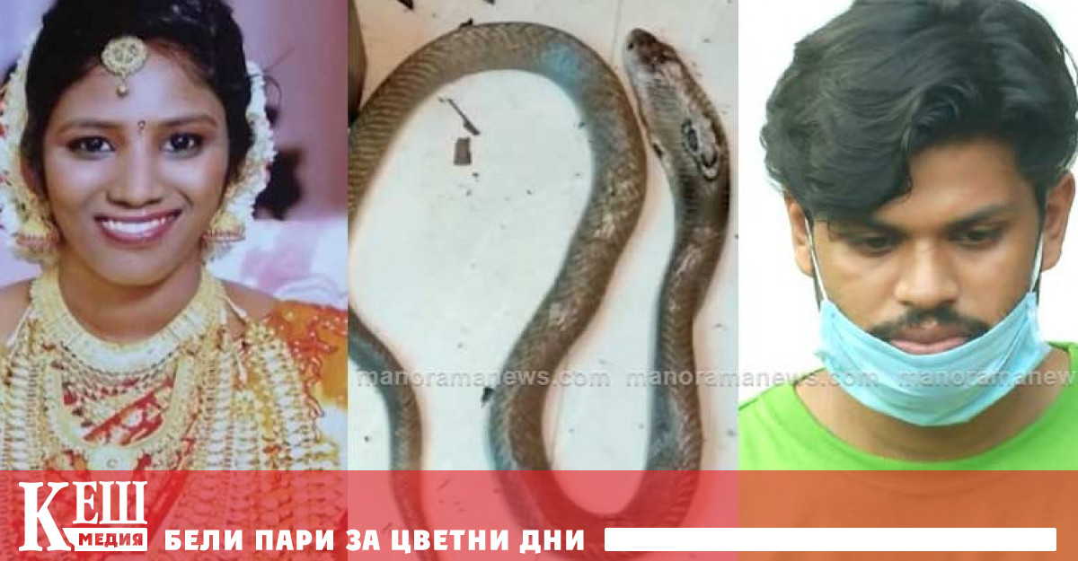 Отровна змия като оръжие за убийство