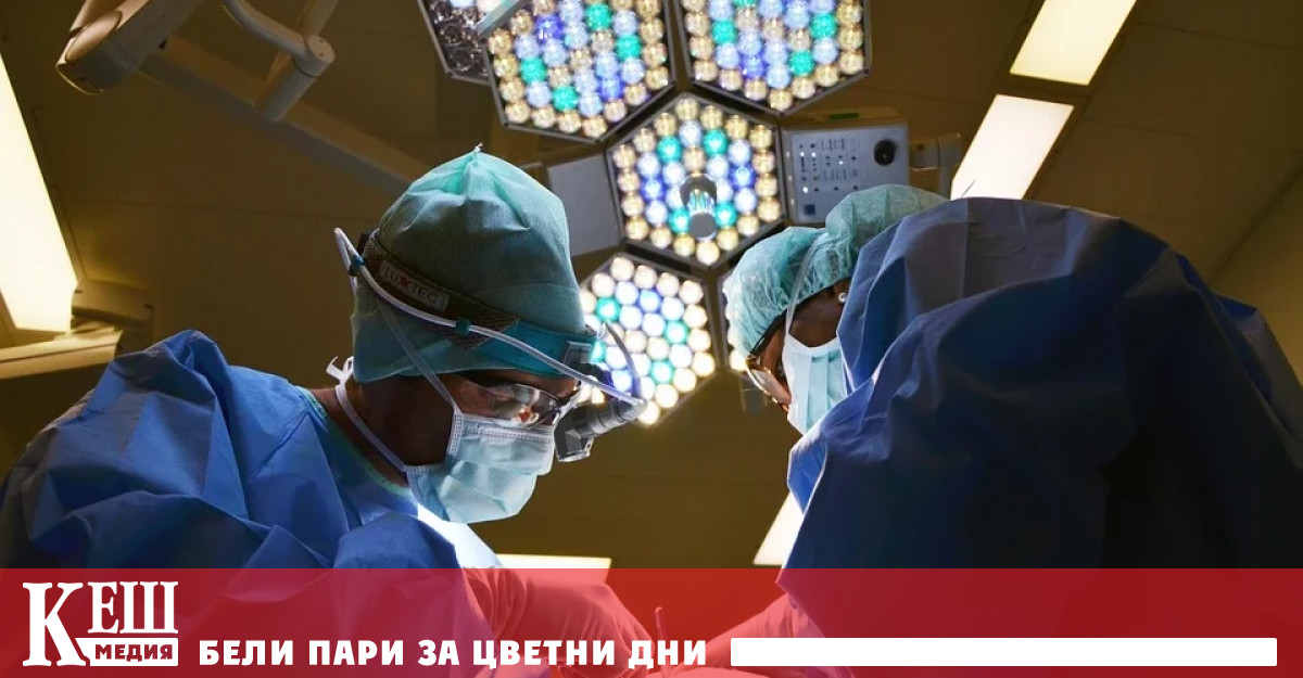 Свински бъбрек за пръв път бе трансплантиран на човек