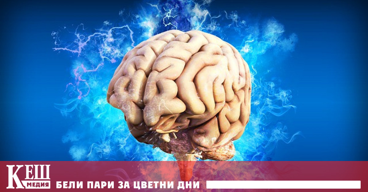 Мозъчен имплант върна зрението на сляп човек