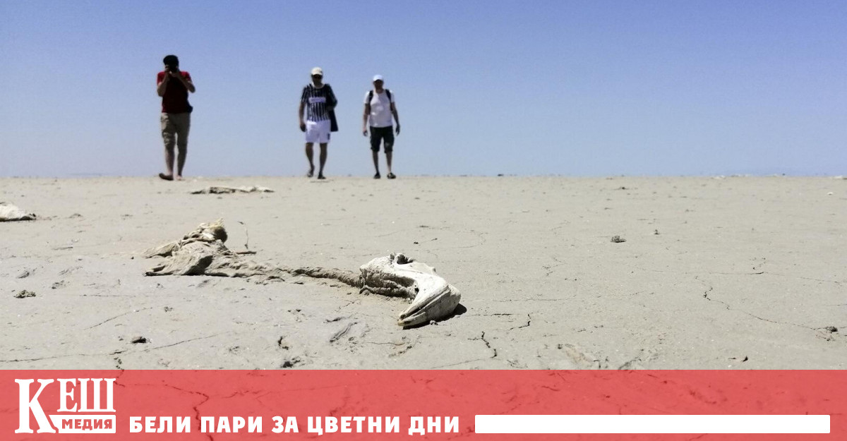 Пресъхна турското езеро Туз