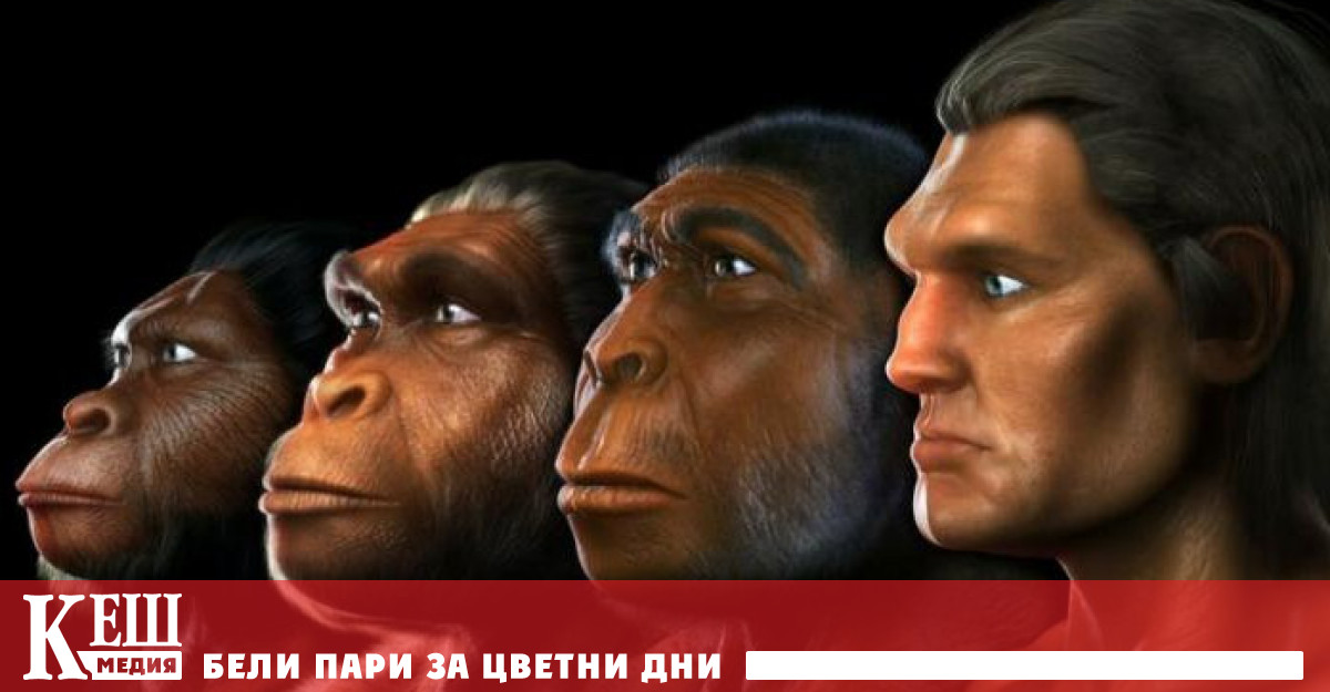 Учени дадоха име на нов вид древен човек - Homo bodoensis