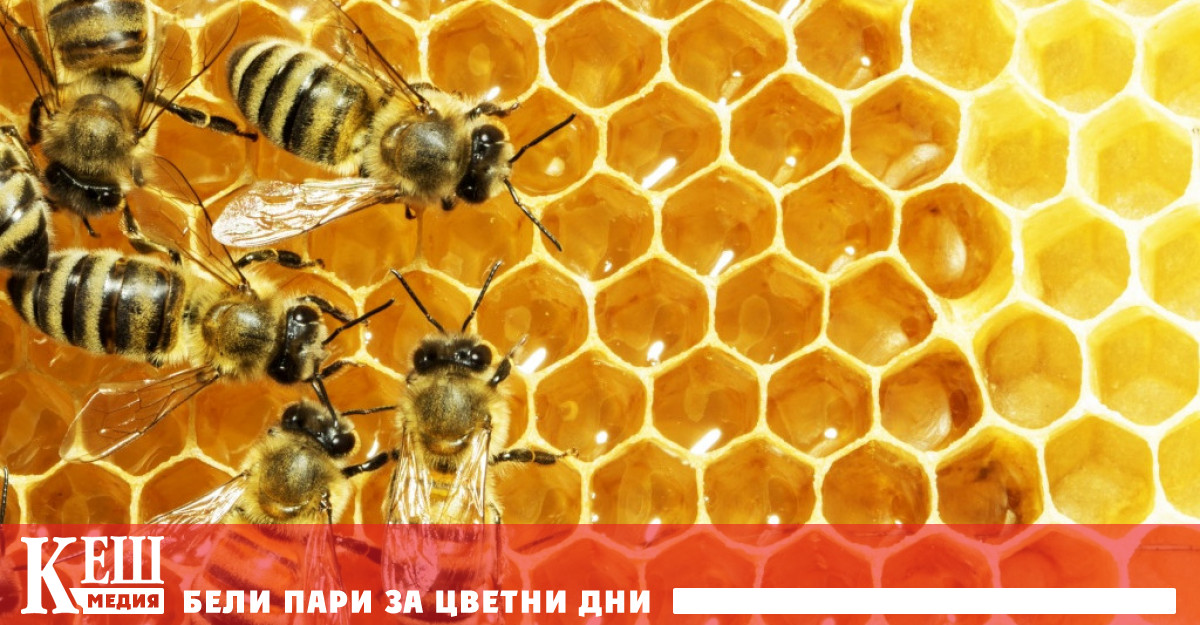Пчелите спазват социална дистанция, за да се защитатават от паразити