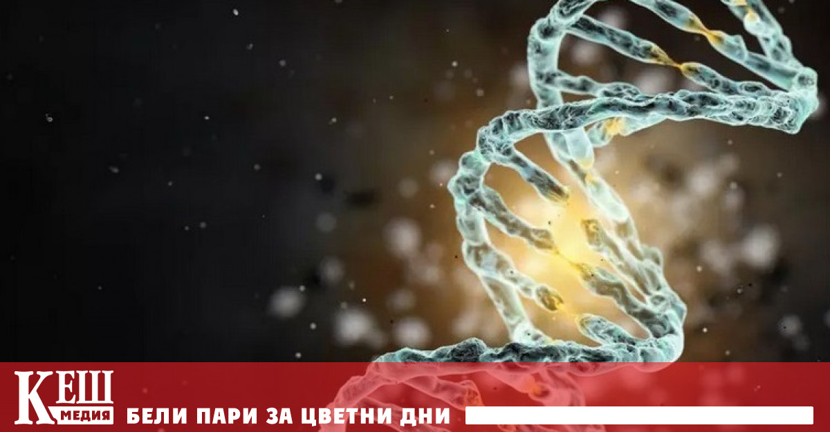 Ще помогне ли генното инженерство в бъдеще да се създаде свръхчовек