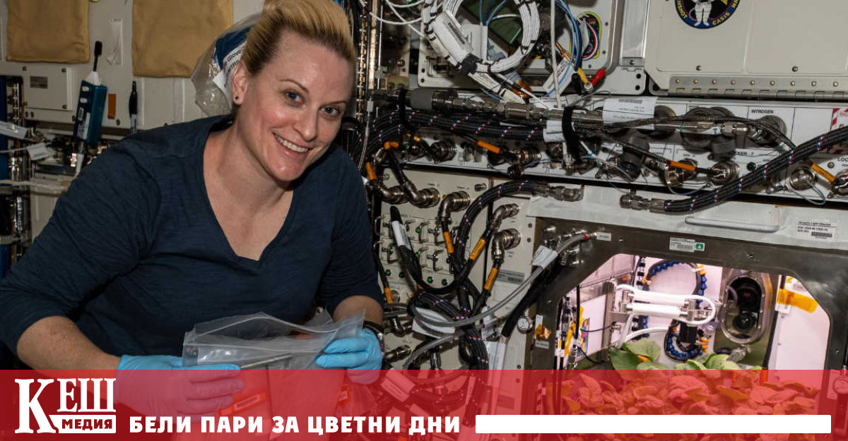 Космически люти чушки похапват на Международната космическа станция