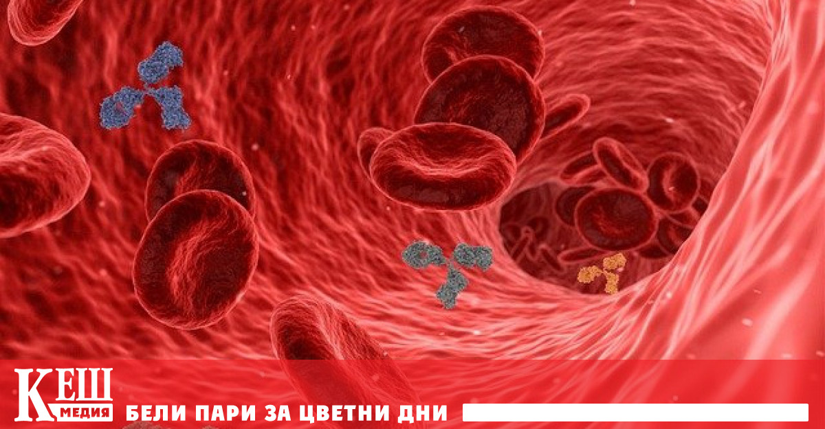 Учени от САЩ откриха антитяло, което елиминира коронавируси