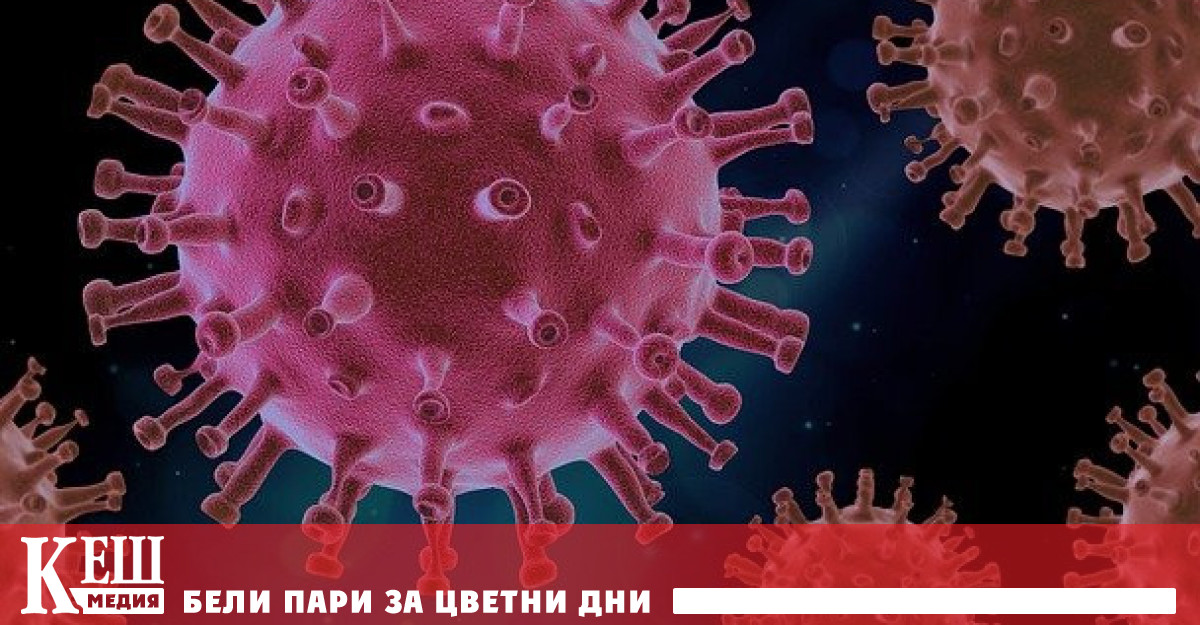 Работодателите са разединени за въвеждането на „зелен сертификат“