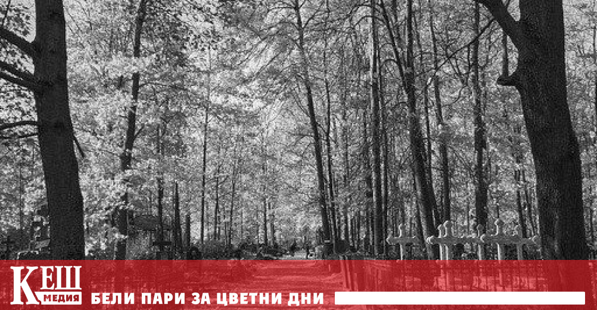 България е на трето място в света по намаляване на продължителността на живота