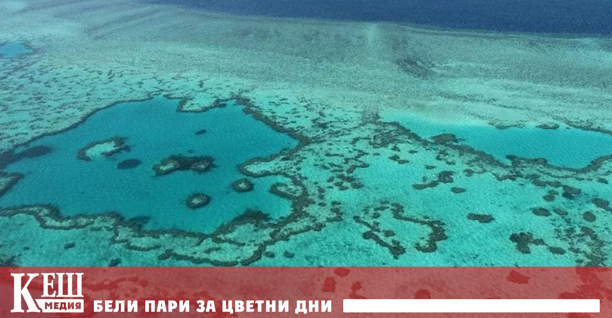 Големият бариерен риф почти напълно загуби цвета си