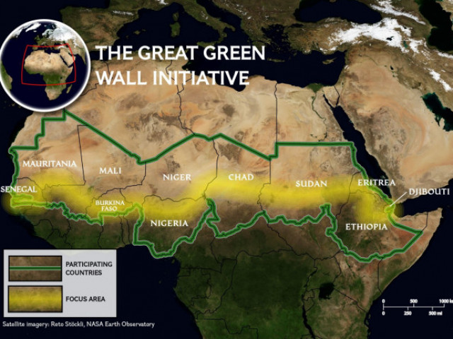 21 африкански държави се обединяват за Велика зелена стена