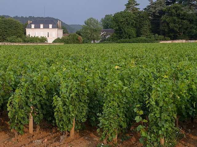Как изменението на климата влияе на френските вина