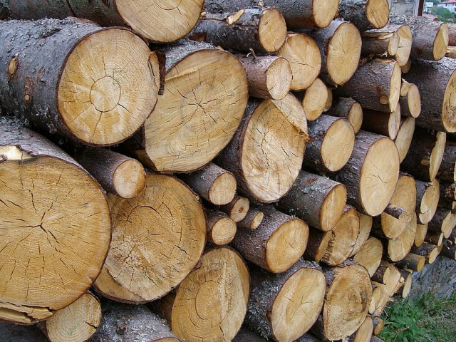 Приходите от електронната продажба на дървесина надхвърлиха 121 млн. лв.