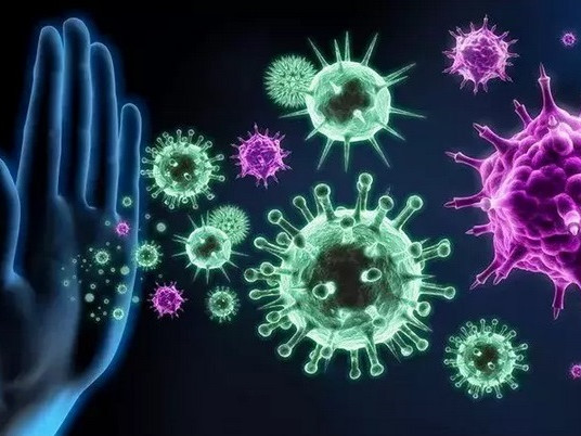 Как клетките на имунната система на човека защитават тялото от инфекции