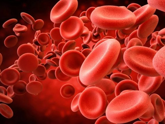 Учени определиха каква кръвна група имат най-нестареещите хора