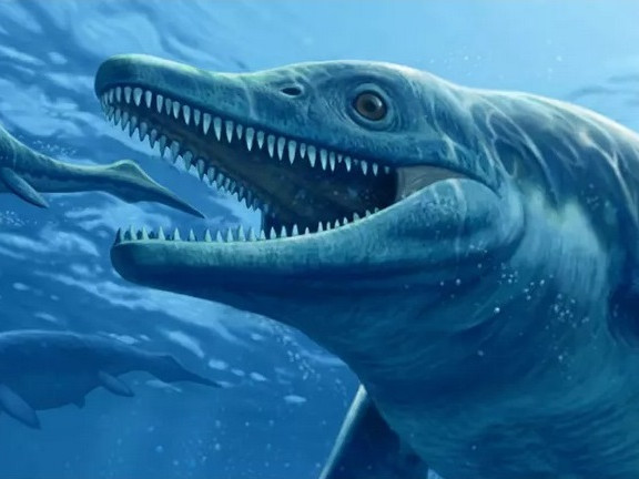 В швейцарските Алпи са открити останки от морски динозаври