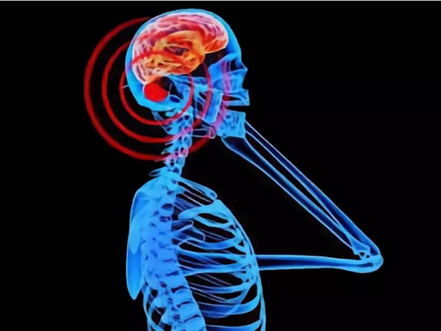 Учени опровергаха популярния мит за вредата от мобилните телефони за мозъка