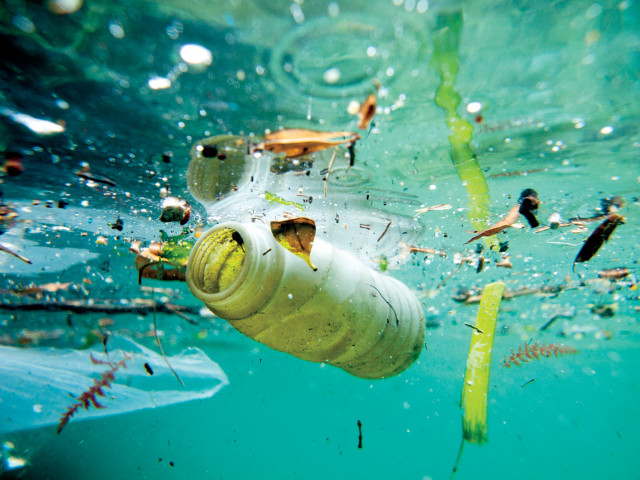 Микропластмасата разнася болести из световния океан