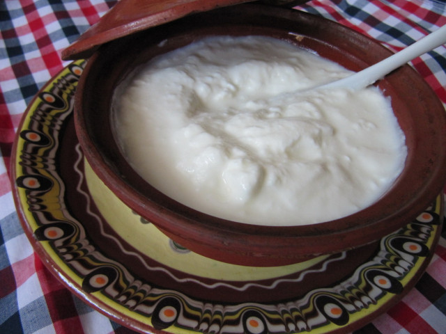 Българското кисело мляко - символът на България за японците