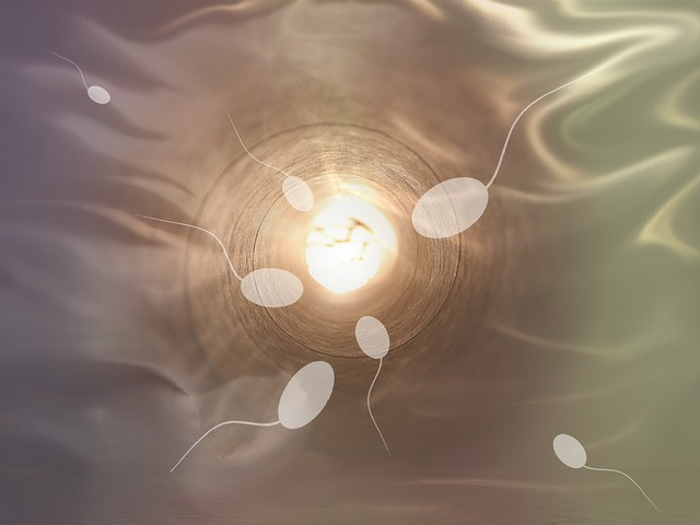 Спадът в броя на сперматозоидите се свързва с високи нива на химически замърсители