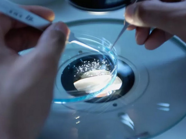 Китайски учени измислиха как да получат живи организми без сперматозоиди и яйцеклетки