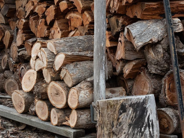 Държавните горски предприятия увеличиха приходите си с близо 35 млн. лв.