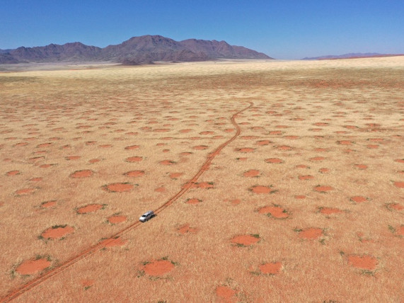 Учени разкриха тайната на "магическите кръгове на Намибия"