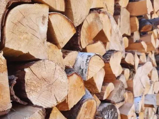 Раздават на французите купони за дърва за огрев