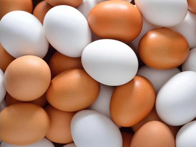 Израел разрешава вноса на яйца от България