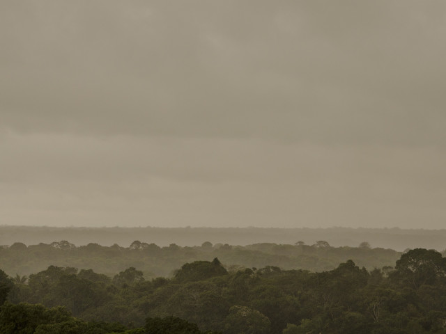 Рекордно обезлесяване в бразилската Амазонка