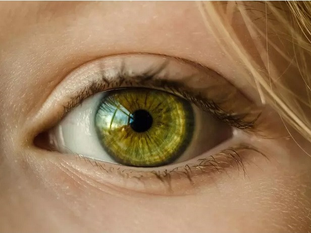 Учени разкриха кое е веществото, което се бори със загубата на зрение