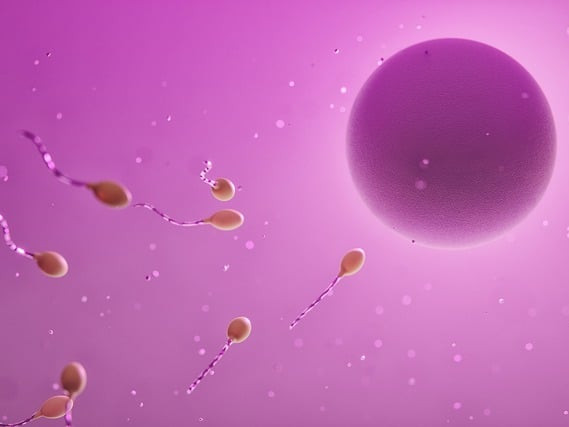 Забраниха на бащата на 550 деца да дарява сперма