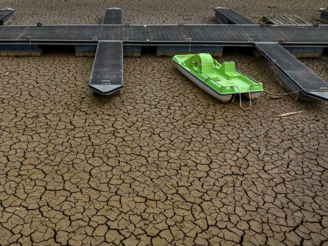 Незапомнена суша опустошава реколтата в Испания