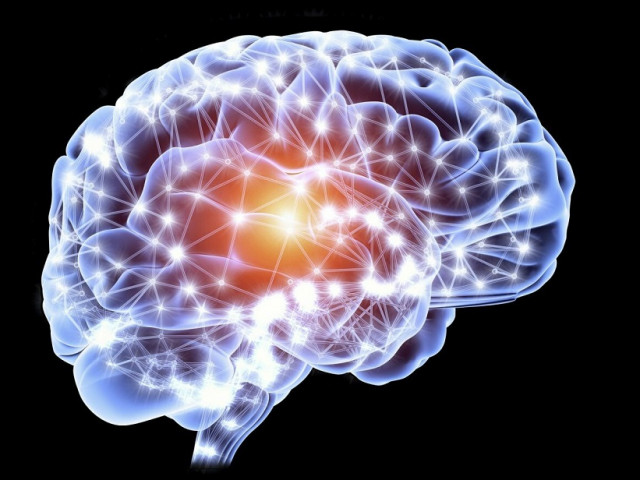 Навици и явления, от които човешкият мозък се свива