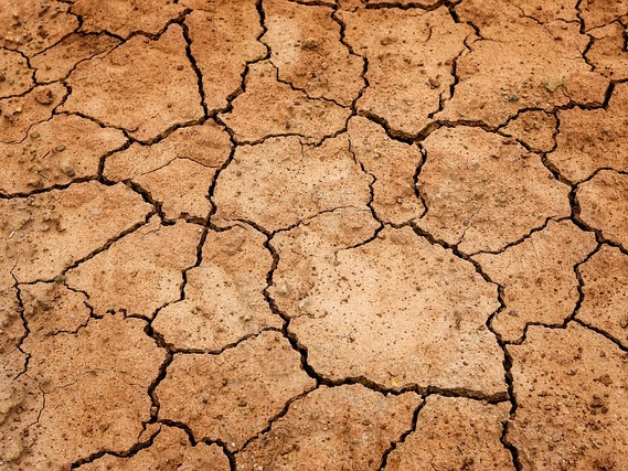 Португалия моли Европейския съюз за помощ заради тежката суша