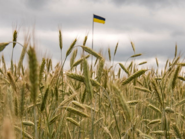Европейската комисия ще удължи забраната за внос на земеделски продукти от Украйна