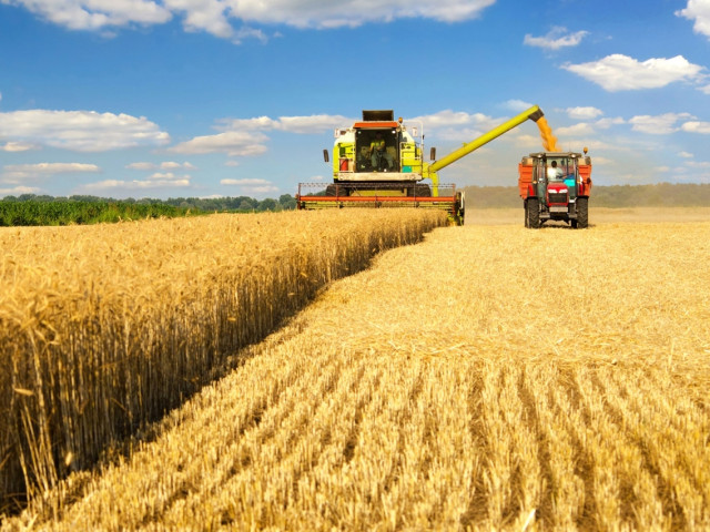Русия е изнесла рекорден обем пшеница през селскостопанската 2022-2023 година
