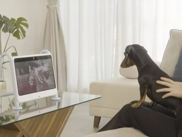 Представиха нов телевизизор, направен специално за кучета