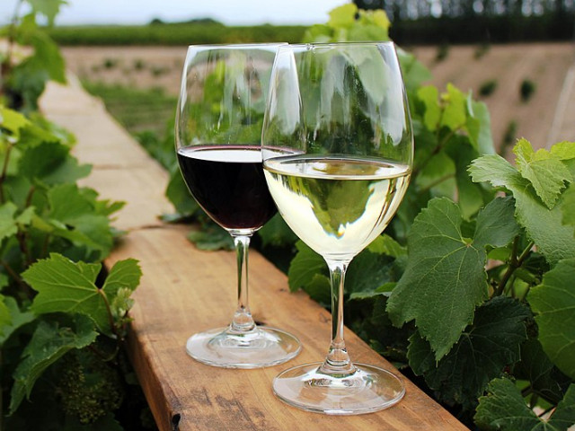 Латвия влезе в топ-3 на доставчиците на вино за Русия на мястото на Италия