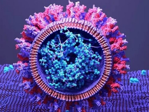 Япония одобри първата в света "саморазмножаваща се" saРНК ваксина срещу COVID-19