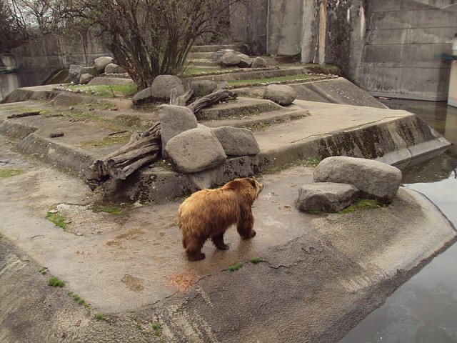 Софийският зоопарк ще разполага с автоматичен дефибрилатор