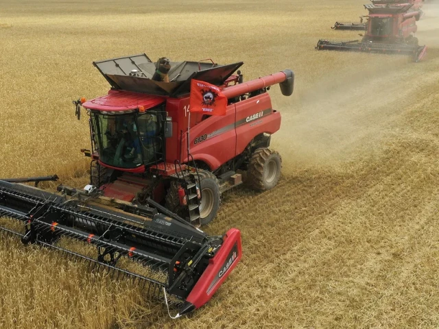Световната банка отчита спад на световните цени на зърно заради голямото предлагане