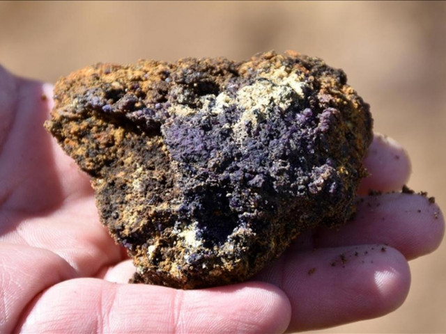 https://www.cash.bg/articles/21154/turciya-shte-razrabotva-zalezhite-si-ot-redkozemni-metali-sas-sasht