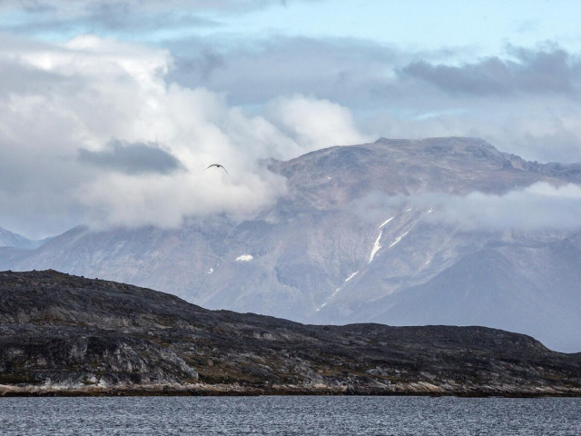 Белгия призова НАТО да проведе военна операция в Гренландия