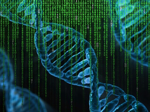 Генетици  категорично опровергаха теория на Дарвин