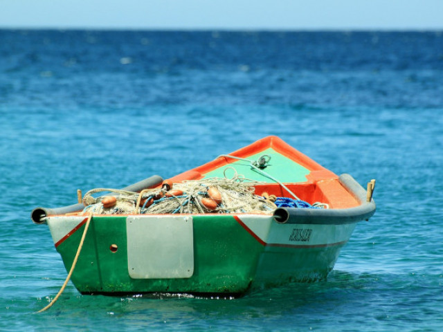 МЗХГ взема мерки за спасяване на сектор „Рибарство и аквакултури”